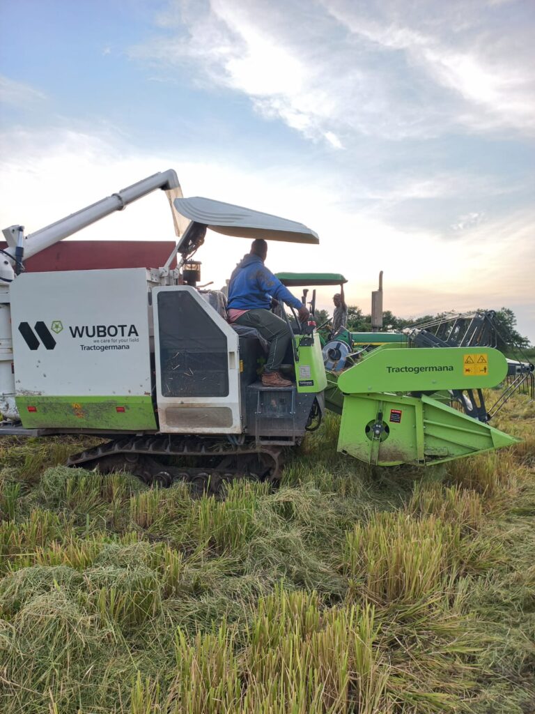 PRO999Q Arroz 120 hp